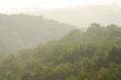 Misty green hills