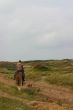 Trailride
