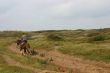 Horse and rider