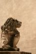 Lion statue