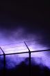 Fence
