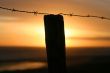 Barb wire fence