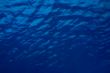 Blue waves