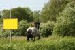 Horse with a sign