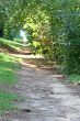 Path to Lake