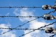 barbed wire