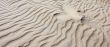 sand shapes