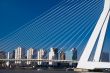 skyline of rotterdam behind bridge