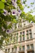 Fresh flowers in front of old monumental building
