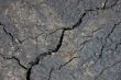 cracked pavement