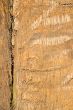 rough wood texture