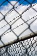 barbed wire behind a chain link fence