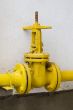 Yellow valve