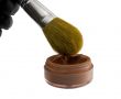 Makeup Brush and Blush