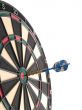 hitting the bullseye!