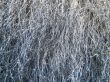 steel wool