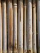 Bamboo Fence