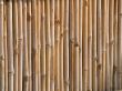 Bamboo Fence