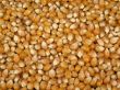 Full Frame Photo of Yellow Popcorn Kernels