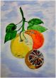 Still Life Watercolor Oranges