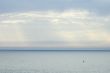 buoy