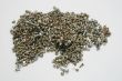 pile of screws