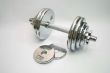 dumb bells