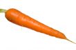 fresh carrot