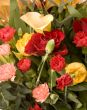 Tulips, Carnations & Roses