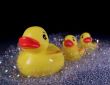 Three Rubber Ducks in Soap Suds