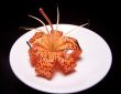 Single Tiger Lily On A White Plate