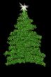 Christmas Tree Illustration