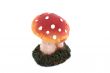 Toadstool.