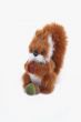 Squirrel with walnut and acorn.