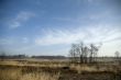 Landscape in springtime