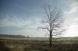 calm landscape in springtime