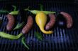 Grill - squash, peppers, sausage & eggplant