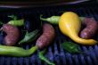 Grill - squash, peppers, sausage & eggplant