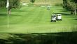 Golf carts at the 7th green