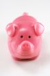 Pink Pig