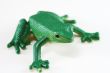 Green Frog