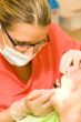 dentist
