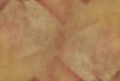Textured Background