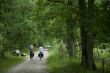 recreation by bike
