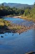mountain river