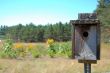 old birdhouse