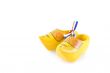 Dutch wooden shoes