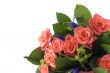 Bunch of flowers