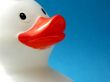 Rubber duck.