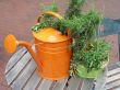 Orange watering can.